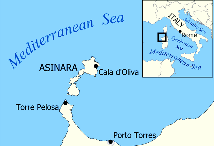 %C4%B0talya-Asinara-Adas%C4%B1.png
